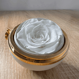 Rose Jewelry Box - SwiftSouq
